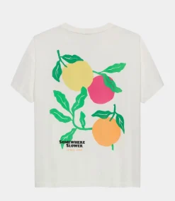 Catwalk Junkie Graphic Tshirt Off White 2502020216-201