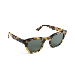 James AY Haze tokyo havana